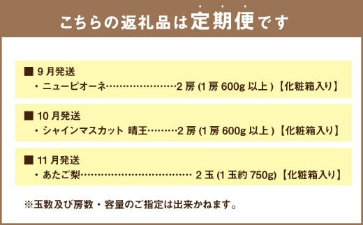【3回定期便】岡山県産 フルーツ定期便コース （ニューピオーネ・ 晴王・あたご梨） 計約3.9kg 【2025年9月上旬発送開始】 ニューピオーネ シャインマスカット 晴王 ぶどう 葡萄 マスカット あたご 梨 なし フルーツ 果物 くだもの 岡山
