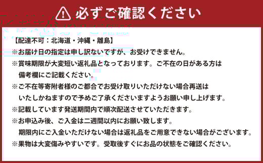 【2回定期便】岡山県産 フルーツ定期便コース （白桃・ 晴王） 計約2.8kg 【2025年7月上旬発送開始】 白桃 桃 もも シャインマスカット 晴王 ぶどう 葡萄 マスカット フルーツ 果物 くだもの 岡山