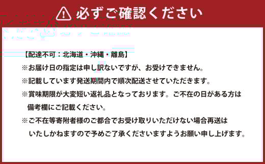【2回定期便】岡山県産 シャインマスカット 晴王 計約2.4kg 2房（1房600g以上）×2回【2025年8月下旬発送開始】 フルーツ 果物 くだもの 定期便 2回 ぶどう 葡萄 マスカット 岡山