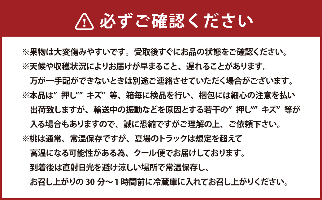 岡山県産 旬の白桃 6玉 （計1.6kg以上）【2025年7月上旬～8月上旬迄発送予定】 化粧箱入り 果物 くだもの フルーツ 桃 もも モモ 白桃 旬 岡山 おかやま 国産 冷蔵