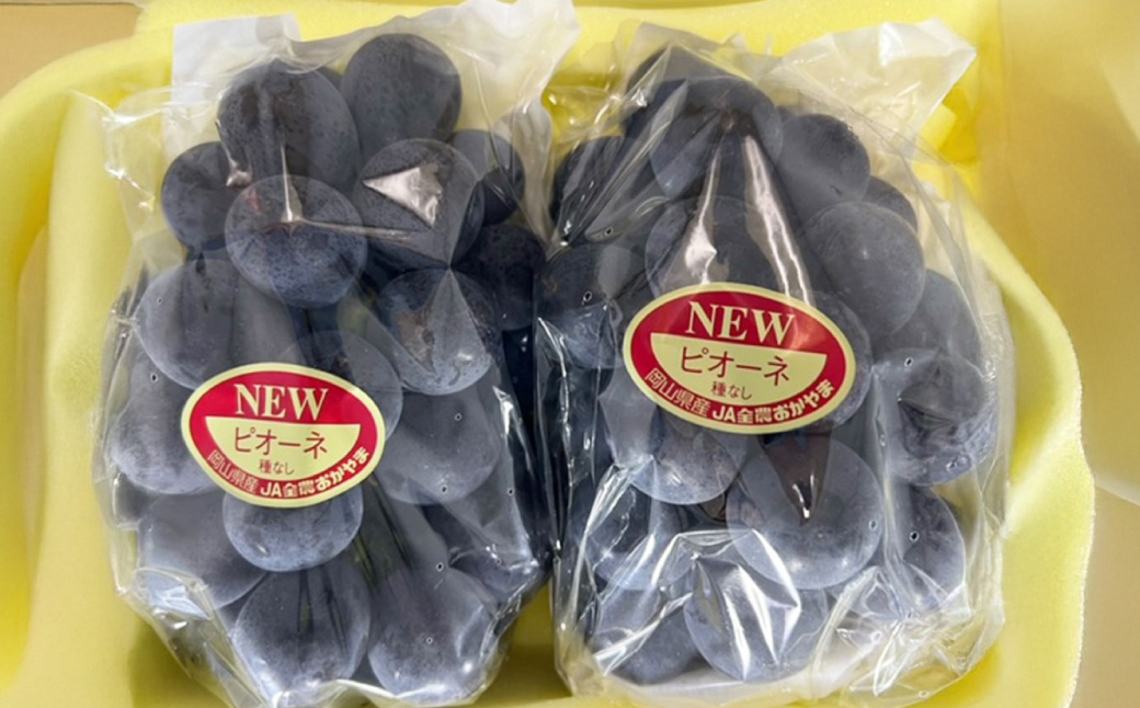 岡山県産 ニューピオーネ 2房 （1房480g以上） 約1kg 化粧箱入り 【2025年8月下旬～10月上旬迄発送予定】 果物 くだもの フルーツ ぶどう ブドウ 葡萄 岡山 おかやま 国産 冷蔵