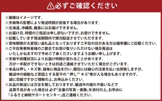 シャインマスカット 晴王 約500g×2房 計約1kg