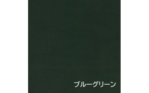 【ブルーグリーン】 イタリアンオイルレザーの折革名刺入れ 革小物 名刺入れ 名刺 革 レザー オイルレザー イタリアン 岡山県 奈義町