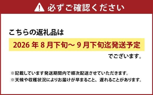 オーロラブラック 2房（1房480g以上・合計960g以上） 化粧箱入り 【2026年8月下旬～9月下旬迄発送予定】 葡萄 ブドウ ぶどう フルーツ 果物 ギフト 国産 岡山県産