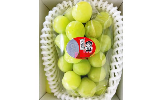 桃太郎ぶどう 1房（700g以上） 化粧箱入り【2026年7月下旬～9月上旬迄発送予定】 葡萄 ブドウ ぶどう フルーツ 果物 ギフト 国産 岡山県産