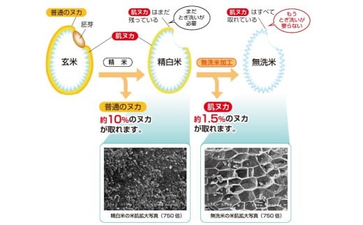 子育て応援米 【令和7年産】 奈義町産米 BG無洗米 あきたこまち 10kg （5kg×2袋） 【窒素充填包装】 10キロ お米 米 無洗米 国産 岡山県 奈義町