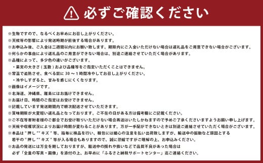 岡山 白桃 エース 8～16玉 計約4kg 岡山県産 【2026年7月上旬～8月下旬迄発送予定】 フルーツ 果物 くだもの モモ 桃 もも 冷蔵 国産