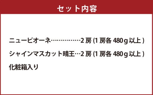 詰合 ニューピオーネ 2房 シャインマスカット 晴王 2房（1房各480g以上）計1.92kg以上 化粧箱入り 【2026年9月上旬～10月上旬迄発送予定】 ぶどう ブドウ 葡萄 マスカット ピオーネ 種なし 果物 くだもの フルーツ セット 冷蔵 国産