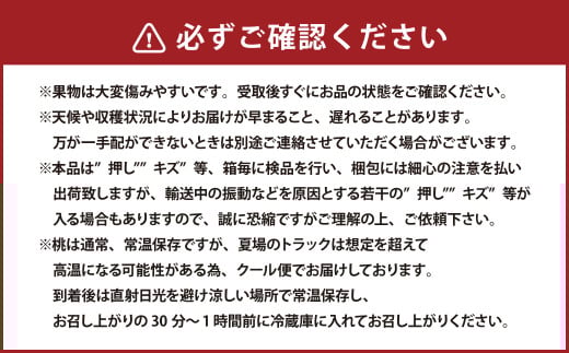岡山県産 旬の白桃 6玉 （計1.6kg以上）【2026年7月上旬～8月上旬迄発送予定】 化粧箱入り 果物 くだもの フルーツ 桃 もも モモ 白桃 旬 岡山 おかやま 国産 冷蔵