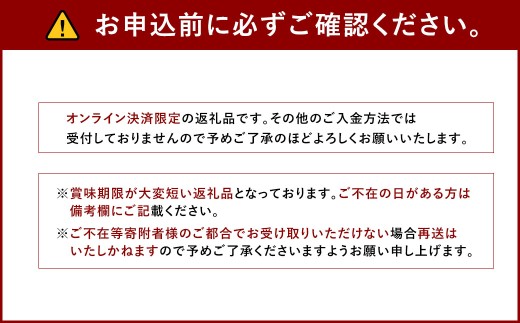 ぶどう 2026年 先行予約 シャイン マスカット 1房 700g以上 ブドウ 葡萄 岡山県産 国産 フルーツ 果物 ギフト 河本農園 【2026年9月上旬～9月下旬発送予定】