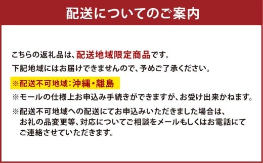 【10回定期便】 子育て応援米 【令和７年産】 奈義町産米 BG無洗米 きぬむすめ5kg 【窒素充填包装】 【お申込み完了月の翌月から順次発送】 米 お米 白米 ご飯 単一精米 無洗米 国産 定期便 岡山県 奈義町