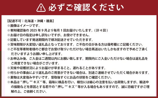 【4回定期便】 ニューピオーネ 晴王 紫苑 あたご梨 【2025年9月上旬より順次発送開始】 梨 葡萄 ブドウ ぶどう フルーツ 果物 ギフト 国産 岡山県産