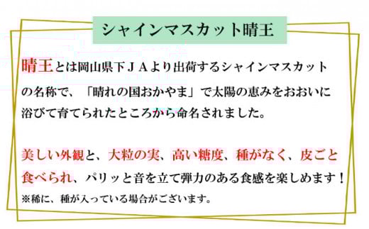 ご家庭用 シャインマスカット 晴王 3～6房 計約1.5kg 【2026年8月下旬～11月下旬迄発送】 岡山 種無し 種なし マスカット 果物 くだもの フルーツ ぶどう ブドウ 葡萄 冷蔵