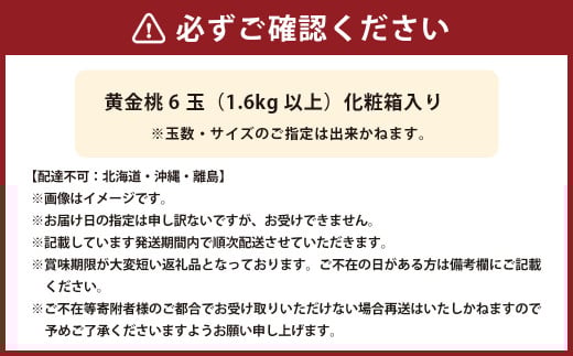 黄金桃 6玉（合計1.6kg以上） 化粧箱入り 【2026年8月下旬～9月上旬迄発送予定】 黄金 モモ もも 桃 フルーツ 果物 国産