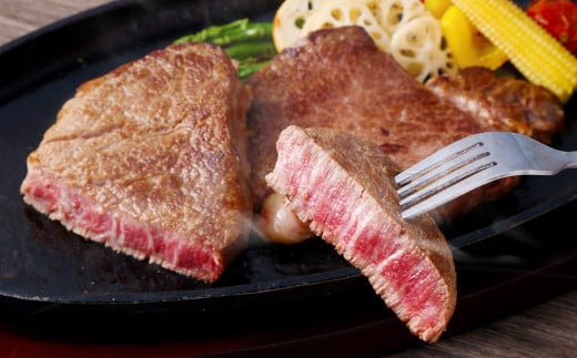 奈義和牛 2つのヒレステーキ 約450g シャトーブリアン ヒレ ステーキ サイコロステーキ ヒレ肉 牛肉 牛 和牛 なぎビーフ 冷凍 奈義町 岡山県産 国産牛 国産