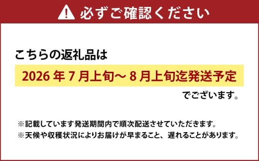 白桃 8玉（2kg以上） 等級：ロイヤル 化粧箱入り 【2026年7月上旬～8月上旬迄発送予定】 桃 モモ もも 果物 くだもの フルーツ 冷蔵 国産