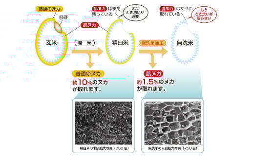 子育て応援米 【令和7年産】 奈義町産米 BG無洗米 （ きぬむすめ ） 10kg （5kg×2袋） お米 米 無洗米 岡山県
