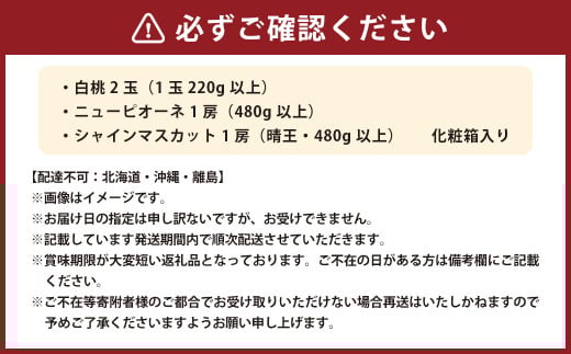 詰合／ 白桃 2玉（1玉220g以上）・ ニューピオーネ 1房（480g以上）・ シャインマスカット 1房（ 晴王 ・480g以上） 合計約1.2kg以上 化粧箱入り 【2026年7月下旬～8月上旬迄発送予定】 桃 もも 葡萄 ブドウ ぶどう フルーツ 果物 ギフト 国産 岡山県産