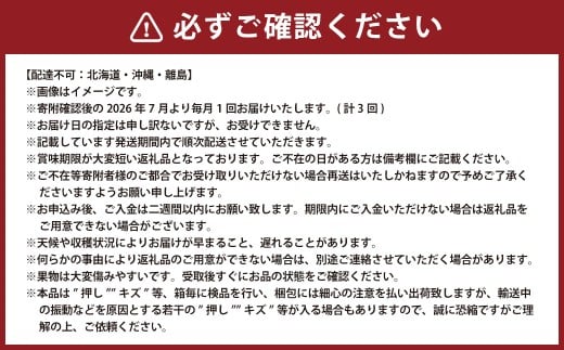 【3回定期便】 マスカットオブアレキサンドリア ニューピオーネ 晴王 【2026年7月上旬より順次発送開始】 葡萄 ブドウ ぶどう フルーツ 果物 ギフト 国産 岡山県産