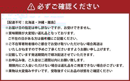 【3回定期便】岡山県産 フルーツ定期便コース （白桃・ニューピオーネ・晴王） 計約4kg 【2025年7月上旬発送開始】 白桃 桃 もも ニューピオーネ シャインマスカット 晴王 ぶどう 葡萄 マスカット フルーツ 果物 くだもの 岡山