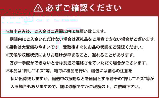 【2回定期便】岡山県産 シャインマスカット 晴王 計約2.4kg 2房（1房600g以上）×2回【2025年8月下旬発送開始】 フルーツ 果物 くだもの 定期便 2回 ぶどう 葡萄 マスカット 岡山