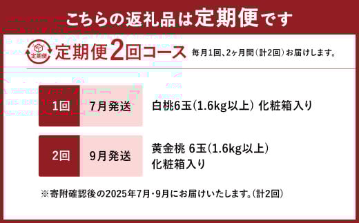 【2回定期便】 桃 （白桃・黄金桃）【2025年7月上旬より順次発送開始】 もも フルーツ 果物 くだもの ギフト 白桃 黄金桃 国産 岡山県産