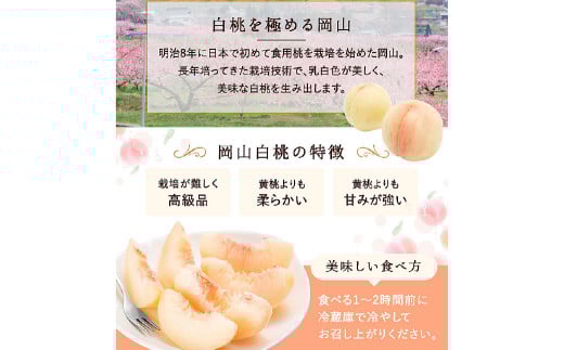 白桃 5玉（1.5kg以上） 等級：ロイヤル 木箱入り 【2025年7月上旬～8月上旬迄発送予定】 桃 モモ もも 果物 くだもの フルーツ 冷蔵 国産