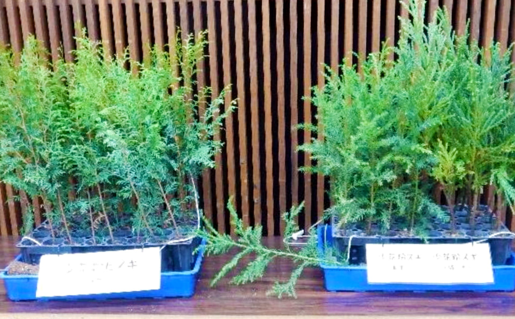 【返礼品なし】岡山県奈義町の取り組みを全国へ！奈義町で行う『少花粉スギ・ヒノキ』植樹を応援してくださる皆さまからの温かいご支援をよろしくお願いいたします。 寄附のみ 岡山県 奈義町 寄附 応援