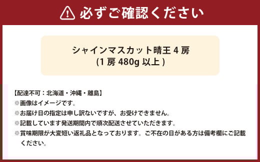 シャインマスカット 晴王 4房（1房480g以上・合計1.92kg以上）【2026年8月下旬～10月下旬迄発送予定】 マスカット 葡萄 ブドウ ぶどう フルーツ 果物 国産 岡山県産