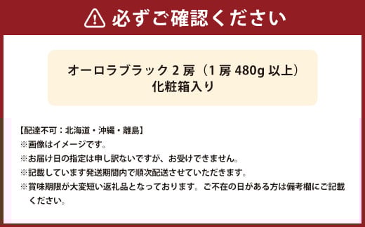 オーロラブラック 2房（1房480g以上・合計960g以上） 化粧箱入り 【2026年8月下旬～9月下旬迄発送予定】 葡萄 ブドウ ぶどう フルーツ 果物 ギフト 国産 岡山県産