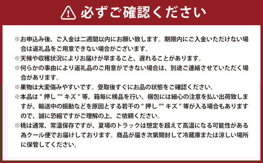 詰合／ 白桃 2玉（1玉220g以上）・ ニューピオーネ 1房（480g以上）・ シャインマスカット 1房（ 晴王 ・480g以上） 合計約1.2kg以上 化粧箱入り 【2026年7月下旬～8月上旬迄発送予定】 桃 もも 葡萄 ブドウ ぶどう フルーツ 果物 ギフト 国産 岡山県産