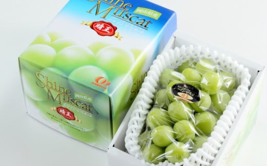 岡山県産 シャインマスカット 晴王 約700g（1房） 果物 フルーツ くだもの ぶどう ブドウ 葡萄 マスカット 種なし 種無し 冷蔵 国産 奈義町 【2026年7月上旬～8月下旬発送予定】