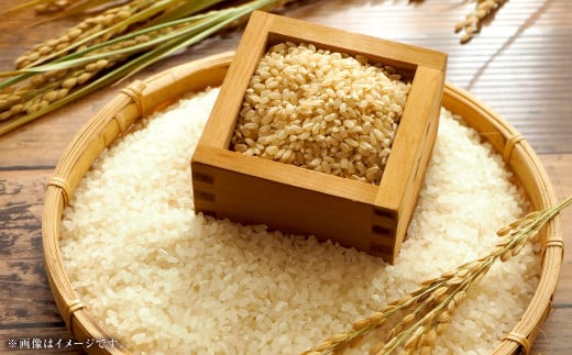 【精米（白米）】子育て応援米【令和7年産】奈義町産米 あきたこまち 10kg （5kg×2袋） 【2025年10月下旬～2026年9月下旬迄発送予定】 お米 米 岡山県