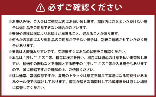 黄金桃 6玉（合計1.6kg以上） 化粧箱入り 【2026年8月下旬～9月上旬迄発送予定】 黄金 モモ もも 桃 フルーツ 果物 国産