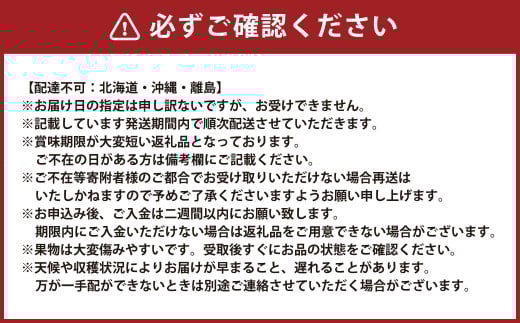 【5回定期便】 岡山県産 フルーツ定期便コース【2026年7月上旬発送開始】定期便 フルーツ 果物 くだもの 葡萄 ぶどう ブドウ 梨 なし ナシ 桃 もも モモ マスカット 贈答品 ギフト