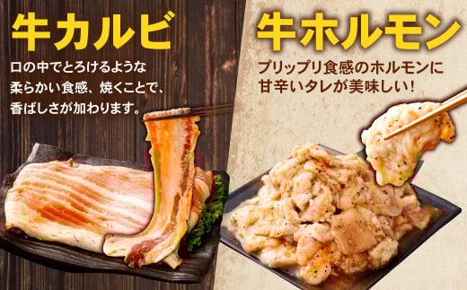 お試し！【なぎビーフ入り】 バラエティパック （ 牛ハラミ ・ 豚ハラミ ・ タレ漬け牛カルビ ・ タレ漬け牛ホルモン ） 各約250g×1パック、なぎビーフ 約300g 計約1.3kg ハラミ カルビ 牛カルビ ホルモン 牛ホルモン タレ漬け たれ漬け 牛肉 豚肉 お肉 味付き 味付き肉 岡山県 奈義町 冷凍