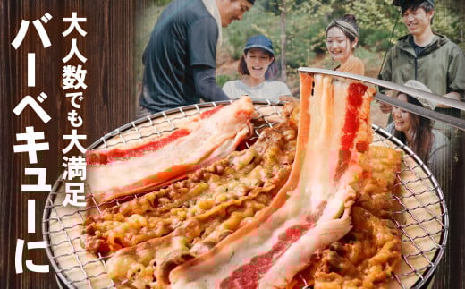 タレ漬け 牛カルビ 1.0kg （250g×4パック） 牛肉 牛 お肉 肉 たれ タレ カルビ 焼き肉 焼肉 小分け 冷凍