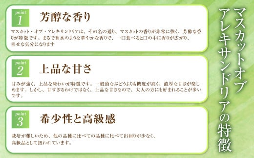 岡山県産 マスカットオブアレキサンドリア 約700g（700g×1房） 【2026年8月下旬～9月下旬迄発送予定】 果物 くだもの フルーツ ぶどう ブドウ 葡萄 マスカット