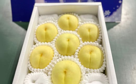 冬桃がたり 6～9玉（合計約1.2kg） 化粧箱入り 【2026年11月下旬～12月下旬迄発送予定】 モモ もも 桃 フルーツ 果物 ギフト 国産 岡山県産