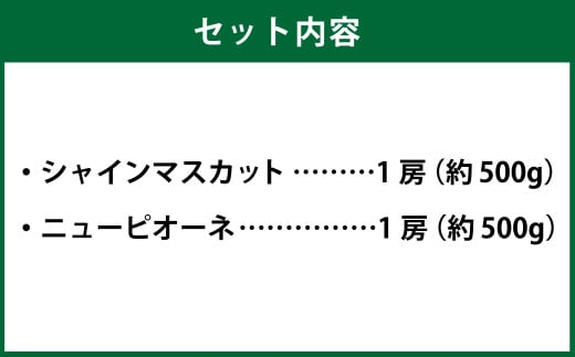 岡山県産 シャインマスカット「晴王」とニューピオーネ 2Lサイズ 計約1kg 【2026年8月下旬～9月下旬迄発送予定】 くだもの フルーツ 詰め合わせ ぶどう