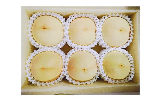 【6回定期便】 白桃 マスカットオブアレキサンドリア 桃太郎ぶどう ニューピオーネ 晴王 紫苑 あたご梨 【2025年7月上旬より順次発送開始】 桃 もも 葡萄 ブドウ ぶどう なし フルーツ 果物 ギフト 国産 岡山県産