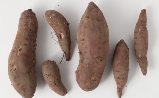 特選 作州横仙蜜芋 土付き 紅はるか 約1.8kg以上 【2025年7月上旬迄発送予定】 蜜芋 蜜いも 芋 いも サツマイモ さつま芋 薩摩芋 さつまいも 国産