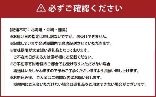 岡山県産 ニューピオーネ 4房（1房480g以上）約2kg 【2026年8月下旬～10月上旬迄発送予定】 果物 くだもの フルーツ ぶどう ブドウ 葡萄 岡山 おかやま 国産 冷蔵