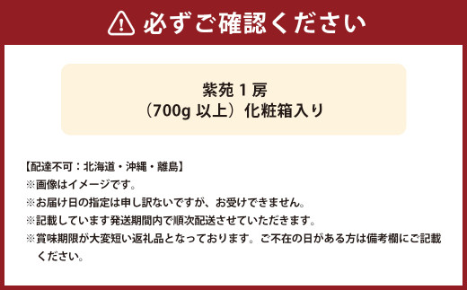 紫苑 1房（700g以上） 化粧箱入り 【2026年10月下旬～11月下旬迄発送予定】 葡萄 ブドウ ぶどう フルーツ 果物 ギフト 国産 岡山県産