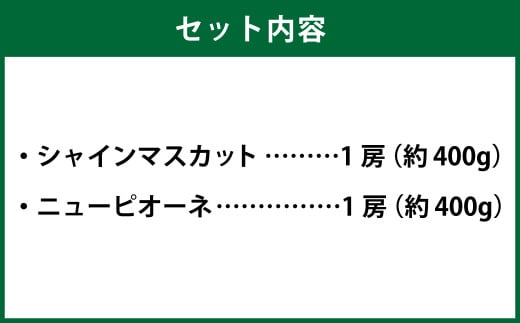 岡山県産 シャインマスカット「晴王」とニューピオーネ Lサイズ 計約800g 【2026年8月下旬～9月下旬迄発送予定】 くだもの フルーツ 詰め合わせ ぶどう