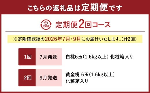 【2回定期便】 桃 （白桃・黄金桃）【2026年7月上旬より順次発送開始】 もも フルーツ 果物 くだもの ギフト 白桃 黄金桃 国産 岡山県産