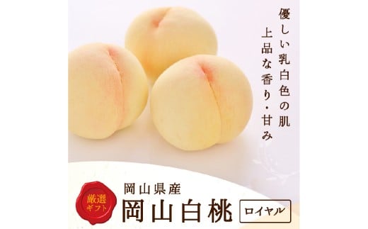 白桃 8玉（2kg以上） 等級：ロイヤル 化粧箱入り 【2026年7月上旬～8月上旬迄発送予定】 桃 モモ もも 果物 くだもの フルーツ 冷蔵 国産