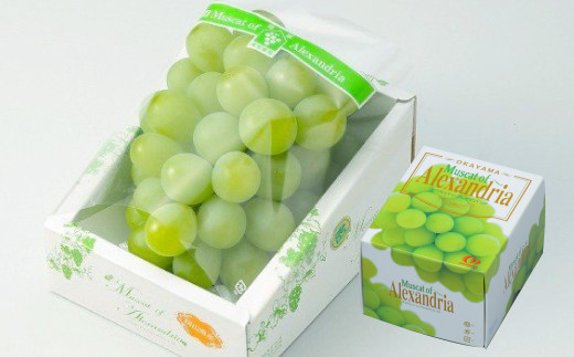 岡山県産 マスカット・オブ・アレキサンドリア 約700g（1房） 果物 フルーツ くだもの ぶどう ブドウ 葡萄 マスカット 冷蔵 国産 奈義町 【2026年6月下旬～7月下旬発送予定】