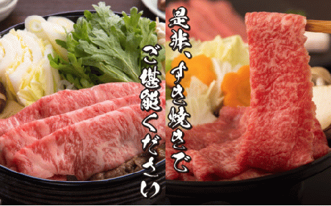 【岡山県産なぎビーフ和牛】カタロースすき焼き用約650g　肩ロース