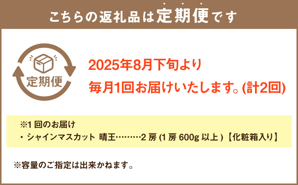【2回定期便】岡山県産 シャインマスカット 晴王 計約2.4kg 2房（1房600g以上）×2回【2025年8月下旬発送開始】 フルーツ 果物 くだもの 定期便 2回 ぶどう 葡萄 マスカット 岡山